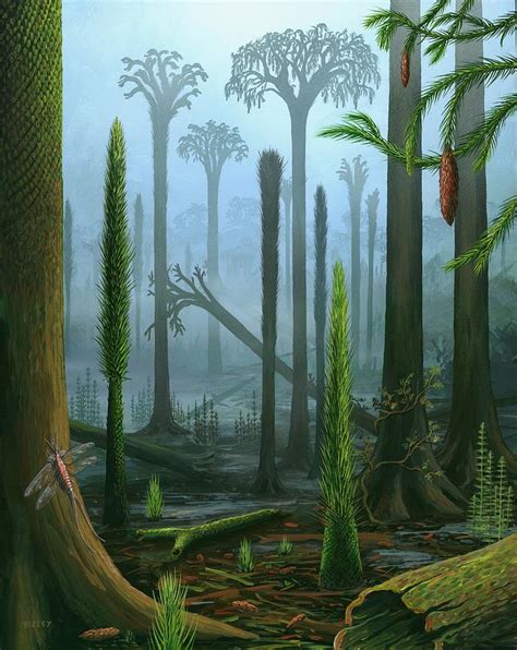 carboniferous plants